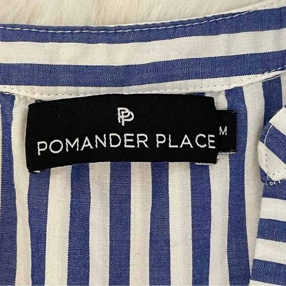 Tuckernuck Pomander Place Kenzo Blue & White Striped Cotton Poplin Sun Dress - Picture 8 of 15